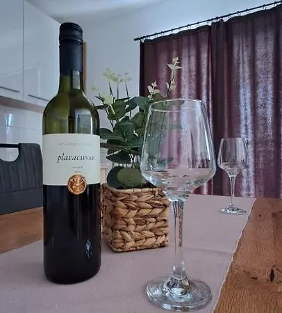 Anchor Guest house Celina