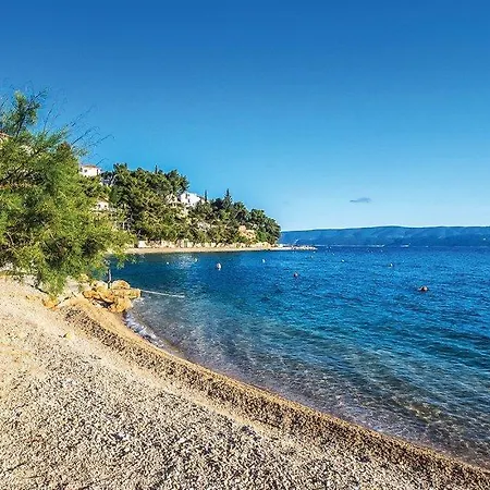 Guest house Anchor Celina