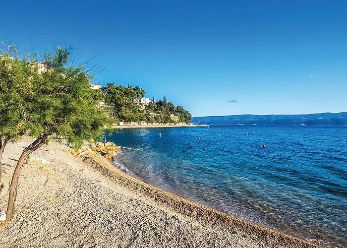 Gasthuis Anchor Celina